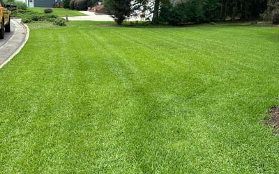 Photo of Jessica W.'s yard after getting lawn care in Orange City, FL