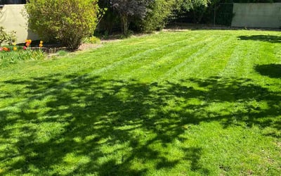Photo of Jennifer L.'s yard after getting lawn care in Mcminnville, OR