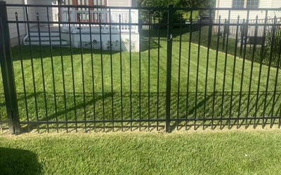 Photo of Leon L.'s yard after getting lawn care in Silver Spring, MD