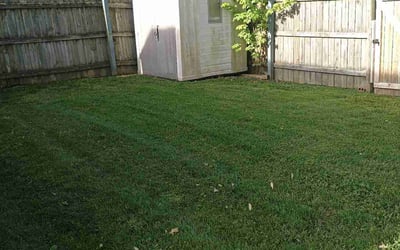 Photo of Sandra A.'s yard after getting lawn care in Newburgh, IN