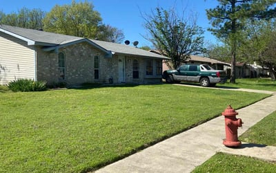 Photo of Frank V.'s yard after getting lawn care in Donna, TX