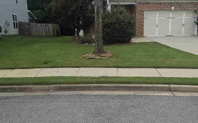 Photo of Karen S.'s yard after getting lawn care in Lilburn, GA
