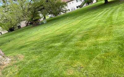 Photo of Brad H.'s yard after getting lawn care in Appleton, WI