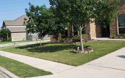 Photo of Paige R.'s yard after getting lawn care in Pflugerville, TX
