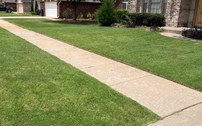 Photo of Vinod M.'s yard after getting lawn care in Elgin, IL