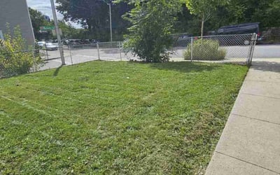 Photo of Connie V.'s yard after getting lawn care in Gardner, MA
