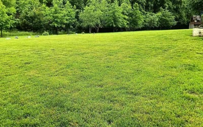 Photo of Justin A.'s yard after getting lawn care in West Columbia, SC