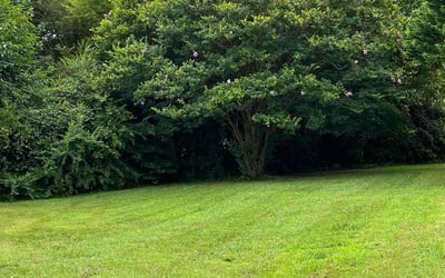 Photo of Brenton M.'s yard after getting lawn care in Monroe, NC
