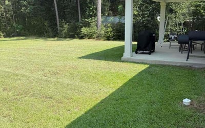 Photo of Skylar R.'s yard after getting lawn care in Forest Park, GA