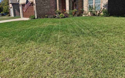 Photo of Christina D.'s yard after getting lawn care in Marlborough, MA