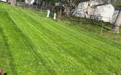 Photo of Gilbert B.'s yard after getting lawn care in Selbyville, DE