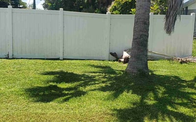 Photo of Jane R.'s yard after getting lawn care in Fort Walton Beach, FL