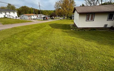 Photo of Michael H.'s yard after getting lawn care in Massillon, OH