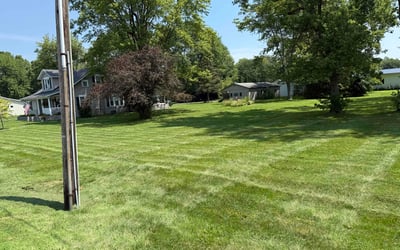 Photo of Victor B.'s yard after getting lawn care in Trumbull, CT