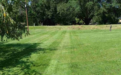 Photo of Susan W.'s yard after getting lawn care in Stanley, NC