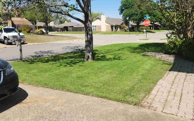 Photo of Tammy D.'s yard after getting lawn care in Irvington, NJ