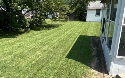 Photo of Monica C.'s yard after getting lawn care in Beverly, NJ