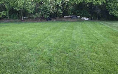 Photo of Kenya F.'s yard after getting lawn care in Gurnee, IL