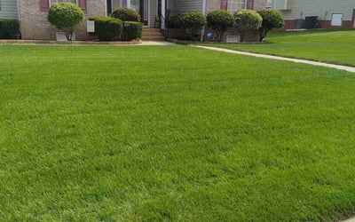 Photo of Mildred G.'s yard after getting lawn care in Prince George, VA