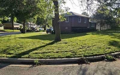 Photo of Dulce V.'s yard after getting lawn care in Prairie Village, KS
