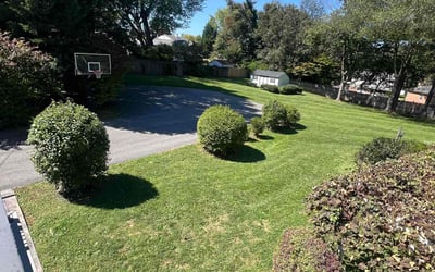 Photo of Jason H.'s yard after getting lawn care in Silver Spring, MD