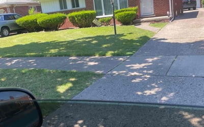 Photo of Franchesca S.'s yard after getting lawn care in Traverse City, MI