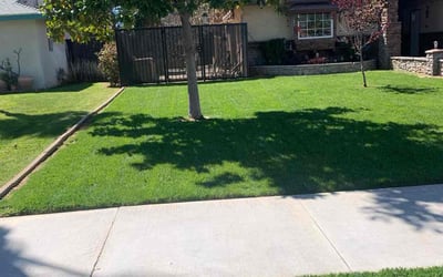 Photo of Brandon C.'s yard after getting lawn care in Riverside, CA