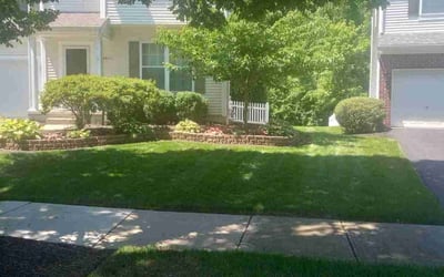Photo of Jacqueline B.'s yard after getting lawn care in New Albany, OH