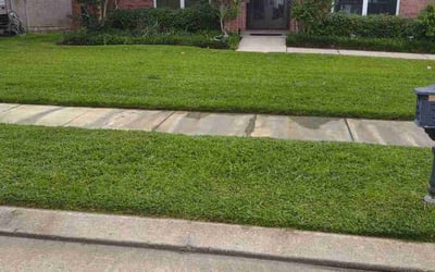 Photo of Colby P.'s yard after getting lawn care in West Monroe, LA
