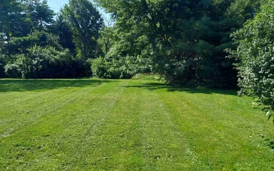 Photo of Chaundra N.'s yard after getting lawn care in Indianapolis, IN