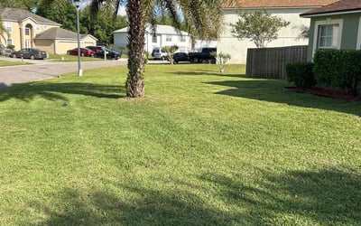 Photo of Nadine B.'s yard after getting lawn care in St Johns, FL