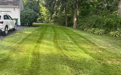 Photo of Thomas B.'s yard after getting lawn care in Westport, MA