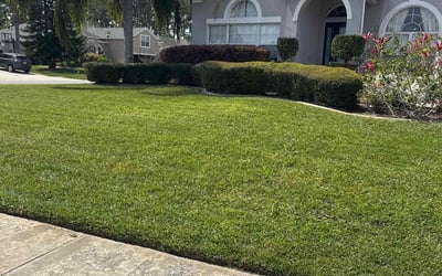 Photo of Larry H.'s yard after getting lawn care in Winter Garden, FL