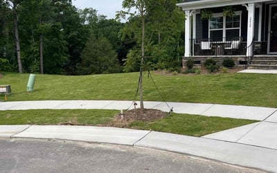 Photo of Kye T.'s yard after getting lawn care in Kyle, TX