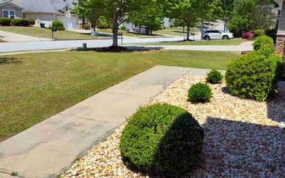 Photo of Muhazdeen I.'s yard after getting lawn care in Baltimore, MD