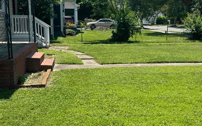 Photo of Terri S.'s yard after getting lawn care in Bristol, VA