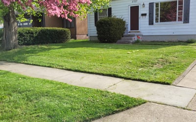 Photo of Mitchel R.'s yard after getting lawn care in Apollo Beach, FL