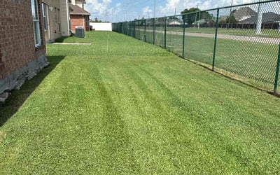 Photo of Elizabeth F.'s yard after getting lawn care in Gretna, LA