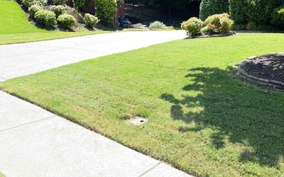 Photo of Kristen I.'s yard after getting lawn care in Bryant, AR