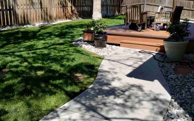 Photo of Louis B.'s yard after getting lawn care in Thornton, CO