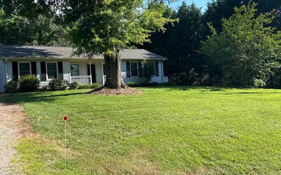 Photo of Ward N.'s yard after getting lawn care in Mount Pleasant, NC