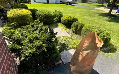 Photo of Jason K.'s yard after getting lawn care in Purcellville, VA