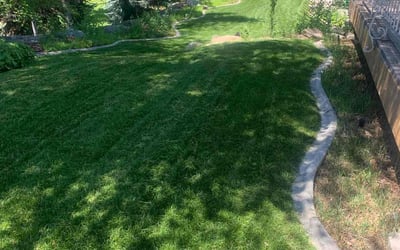 Photo of Jennifer A.'s yard after getting lawn care in Orem, UT