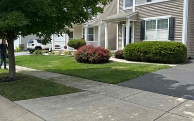 Photo of Weichao C.'s yard after getting lawn care in Worthington, OH