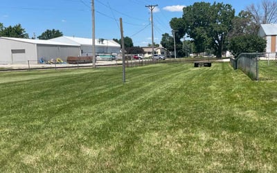 Photo of Sara W.'s yard after getting lawn care in Cedar Falls, IA