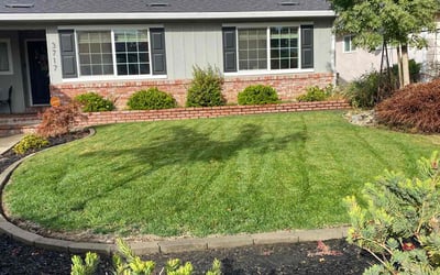 Photo of Kristen M.'s yard after getting lawn care in Sacramento, CA