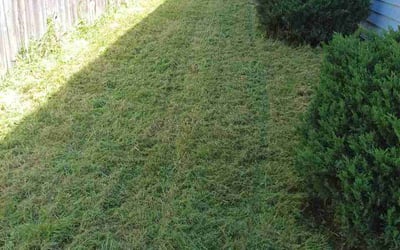 Photo of Larry L.'s yard after getting lawn care in Billerica, MA