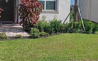 Photo of Randy P.'s yard after getting lawn care in Waxahachie, TX