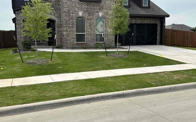 Photo of Nick D.'s yard after getting lawn care in Red Oak, TX