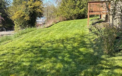 Photo of Roger D.'s yard after getting lawn care in Anacortes, WA